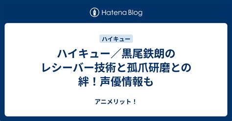 ハイキュー／黒尾鉄朗のレシーバー技術と孤爪研磨と。